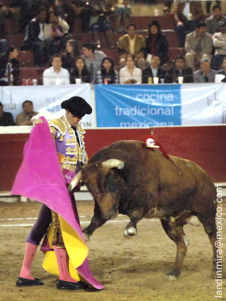 Recogiendo la embestida