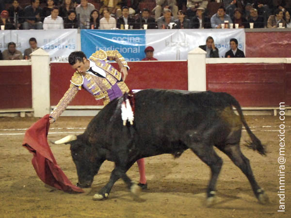 Buen pit�n derecho