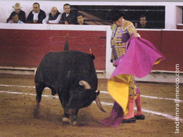 Ochoa con su primero