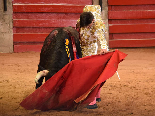 Emocionante tanda al natural