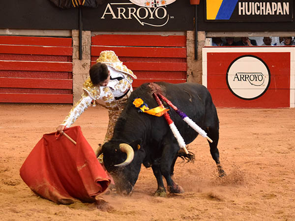 Ejemplar con recorrido