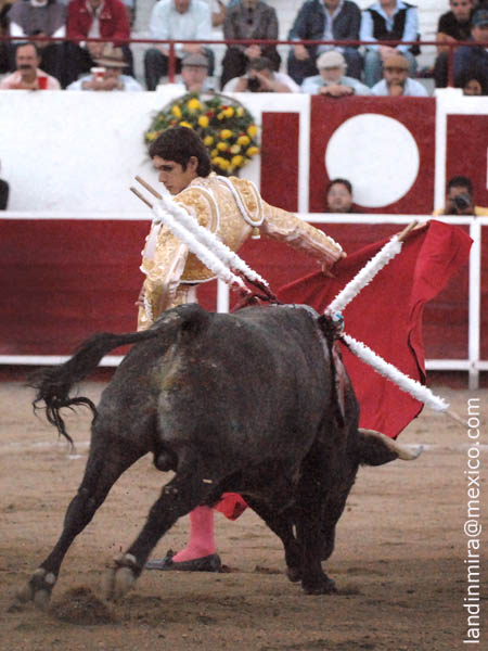 El sello de Castella