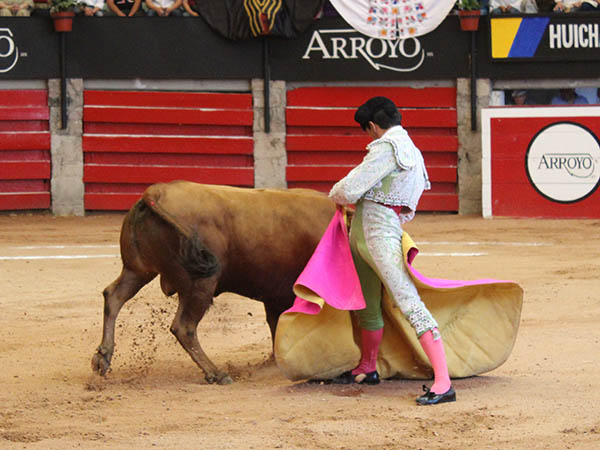 Expresi�n de toreo cl�sico