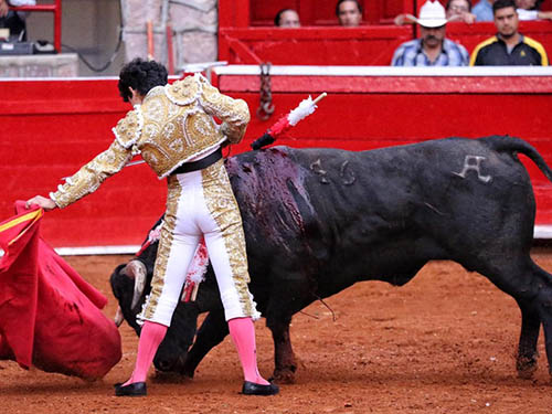 Platerito, voluntad de agradar
