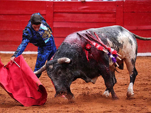 Avanza en la profesi�n