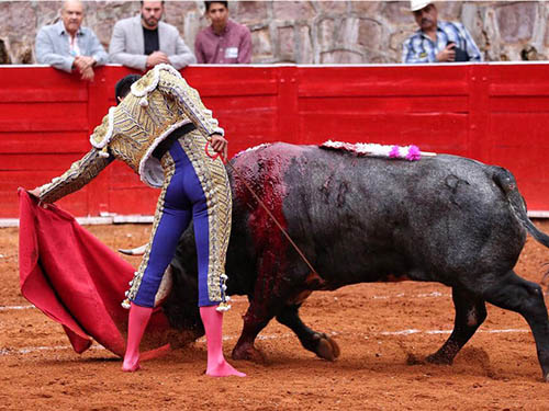 Probaturas por el derecho