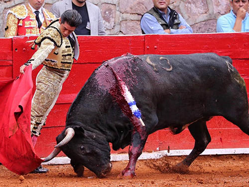 Digna actuaci�n de Delijorge