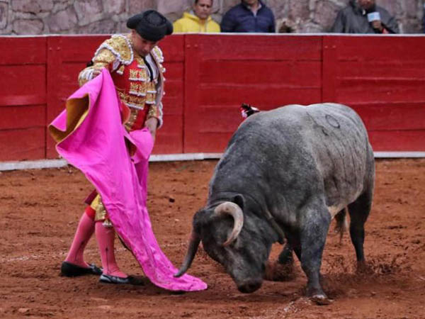 Ver�nicas de Su�rez del Real