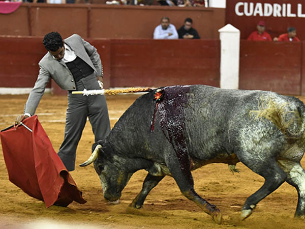 Llevando al c�rdeno