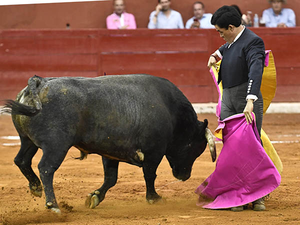 Sello en las chicuelinas