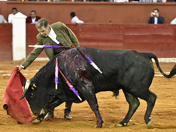 Con suavidad y temple