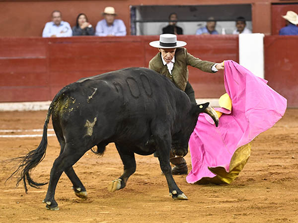 Ahormando la embestida