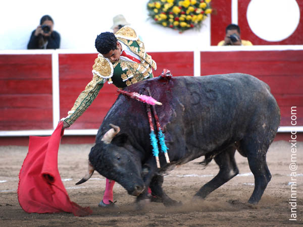 El tranco del ejemplar