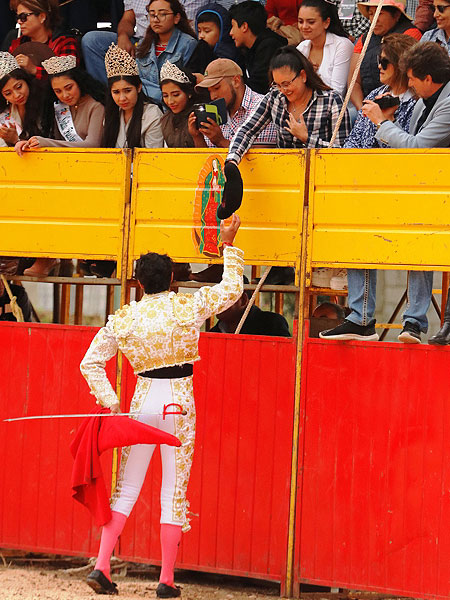 A la taurina Presidenta Gardenia