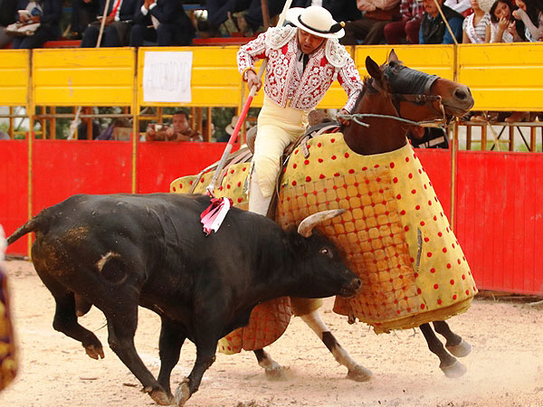 Apretaron en el caballo