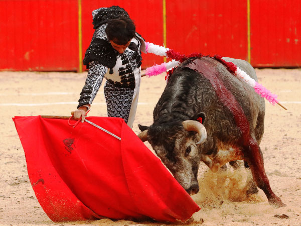 Firme y torero