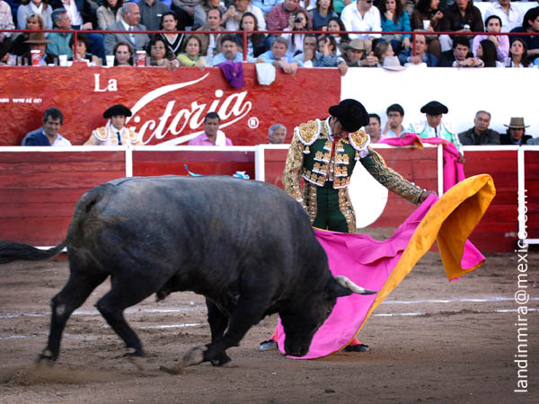 Los vuelos del capote