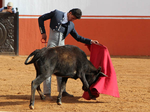 Muleta a media altura