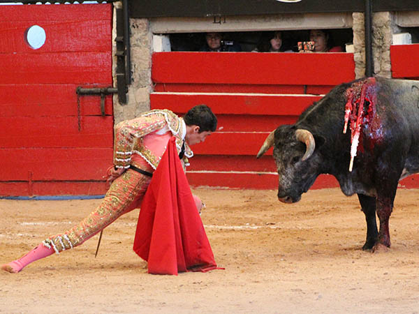 Di�logos en silencio