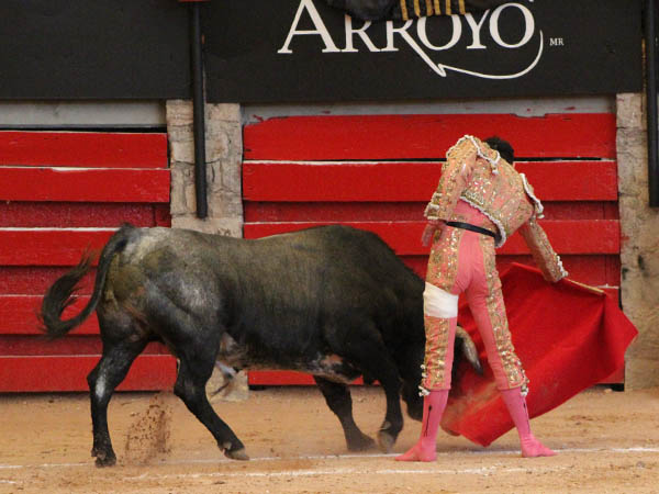 Vendaje  y, a seguir toreando