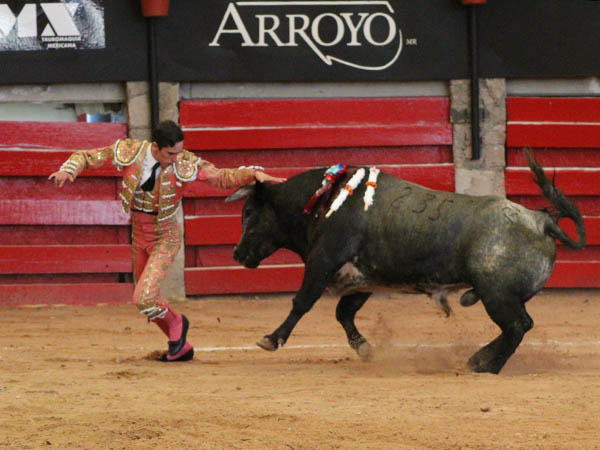 Valiente en el galleo