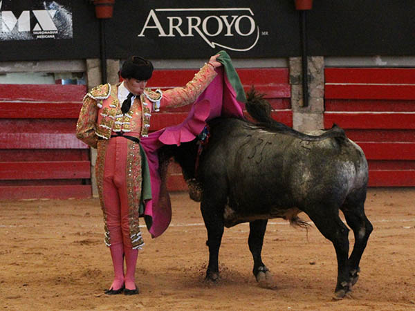 Verticalidad en el quite