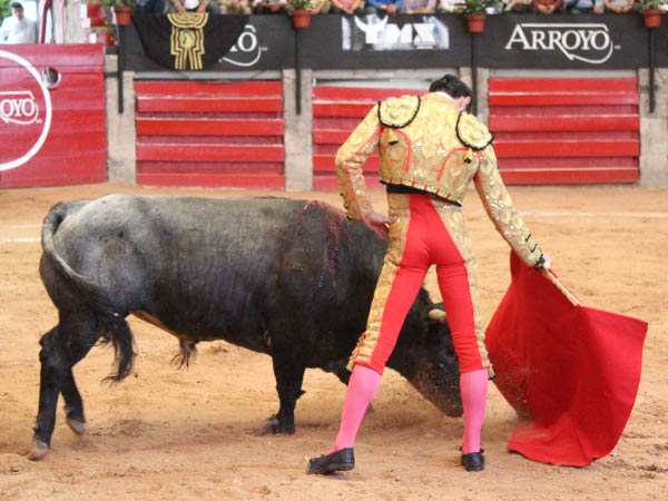 Codicia del c�rdeno