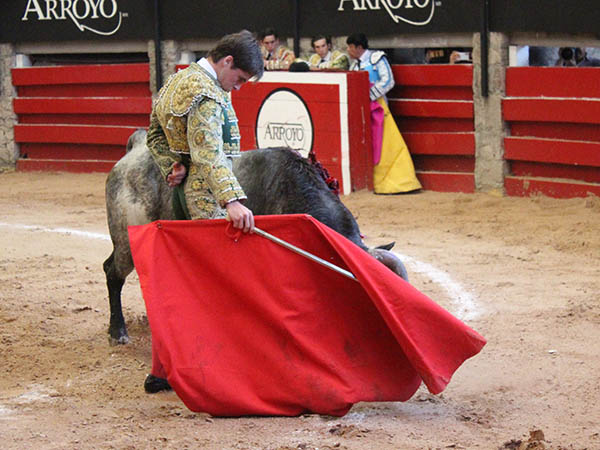 La barbilla encajada