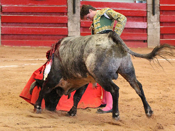 La barbilla encajada