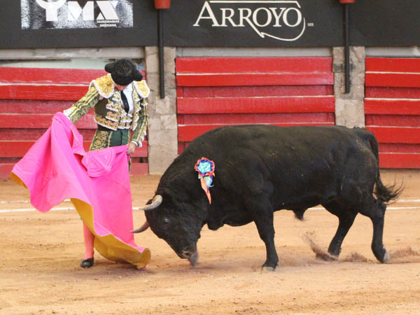 Curro inicia el festejo