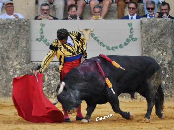 Destellos de artista