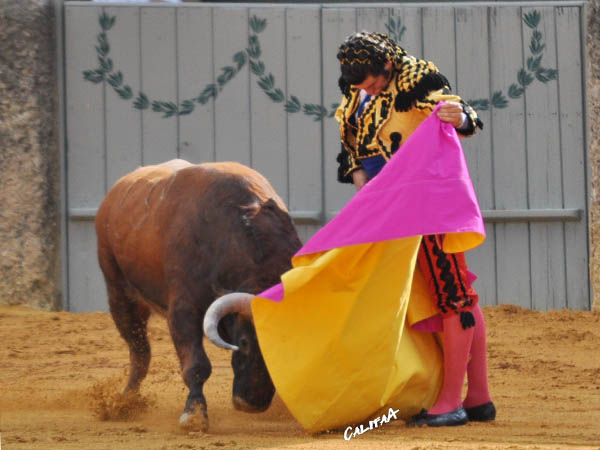 Morante a la ver�nica