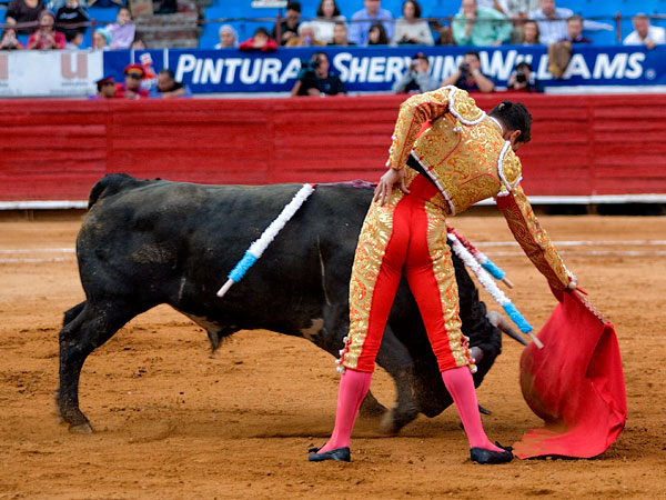 Metido en la muleta