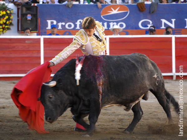 Sin tocar la franela