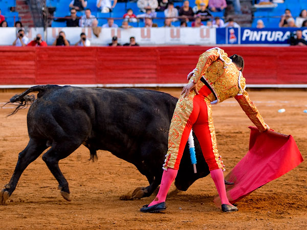 Excelencia en el trazo