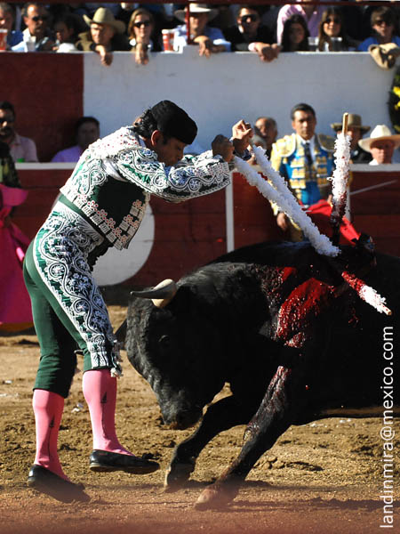 El pit�n en la corva