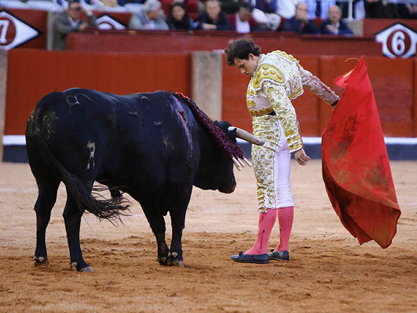 Toque por la espalda