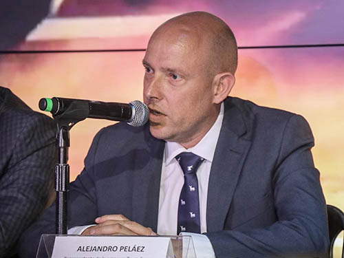 El mensaje de Alejandro Pel�ez