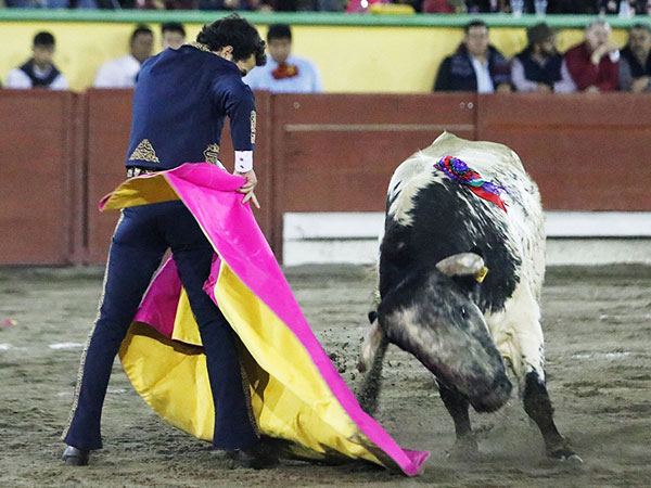 Voluntad art�stica