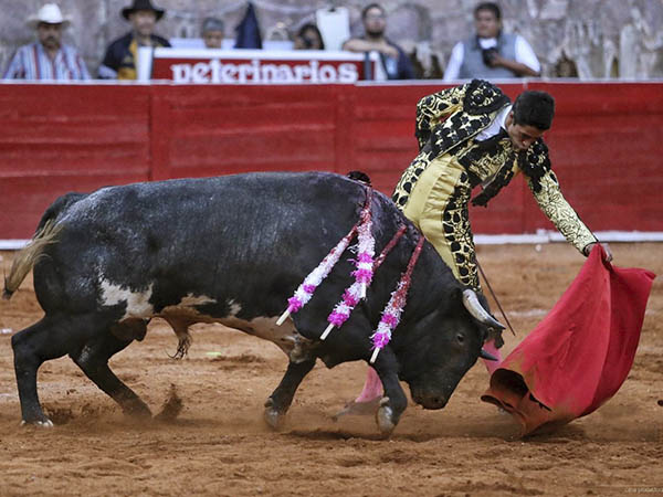 Templada y recia muleta