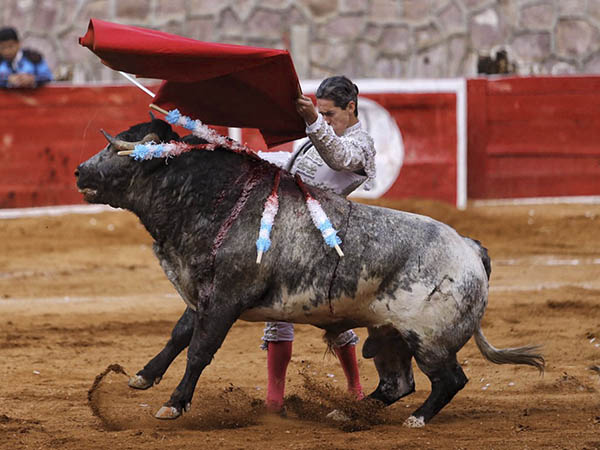 SIn los resultados esperados