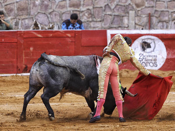 Se nota que todo fluye