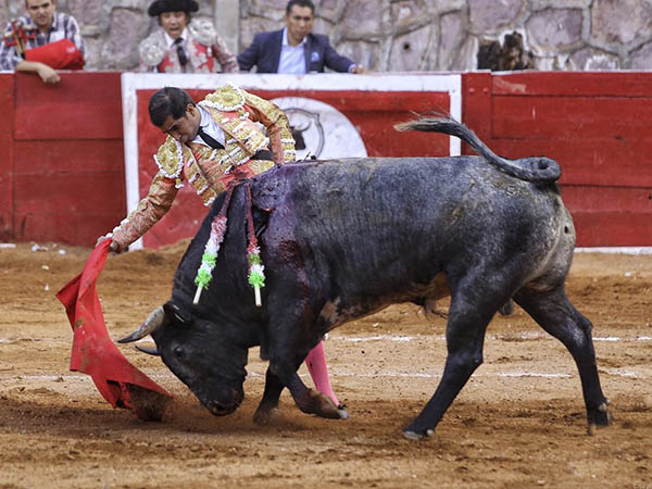 Estructur� una faena s�lida