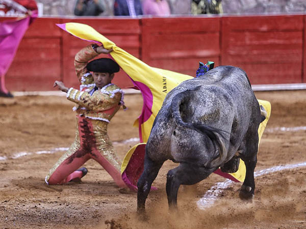 A arrear con inteligencia