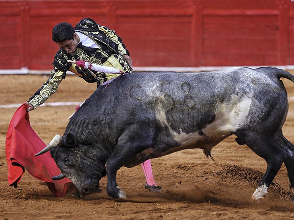 Sergio pele� las palmas