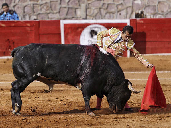 Ritmo y cadencia de Adame
