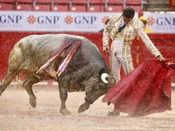 Termin� en barrizal