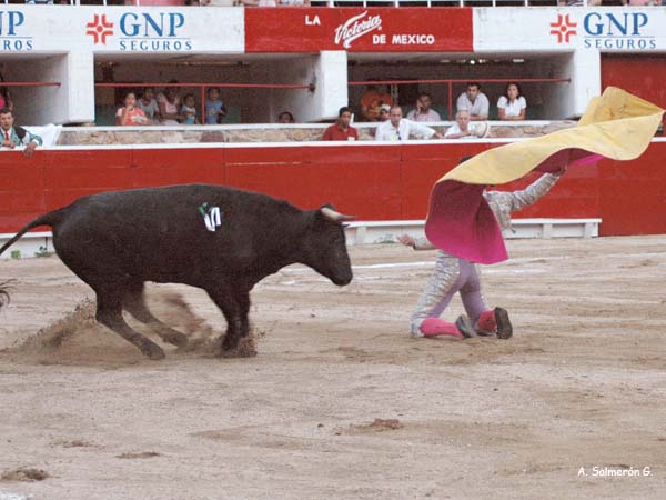 Ar�valo, a porta gayola