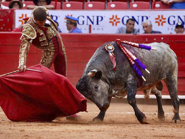 Acompa�ando el viaje