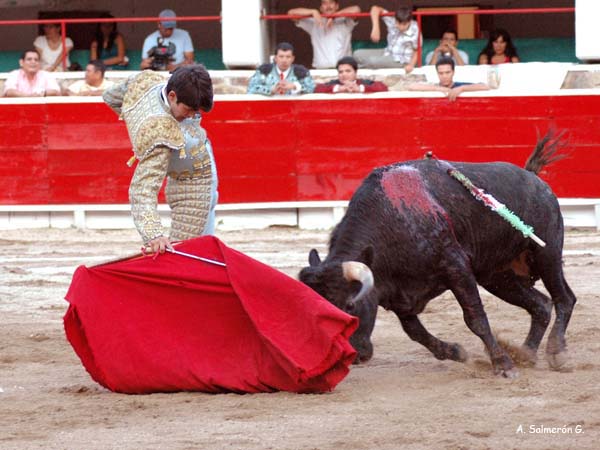 Pulso en el antebrazo